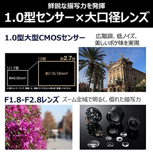 Canon PowerShot G7 X 20.2MP Digital Camera - Black (with 24-100 mm Lens)