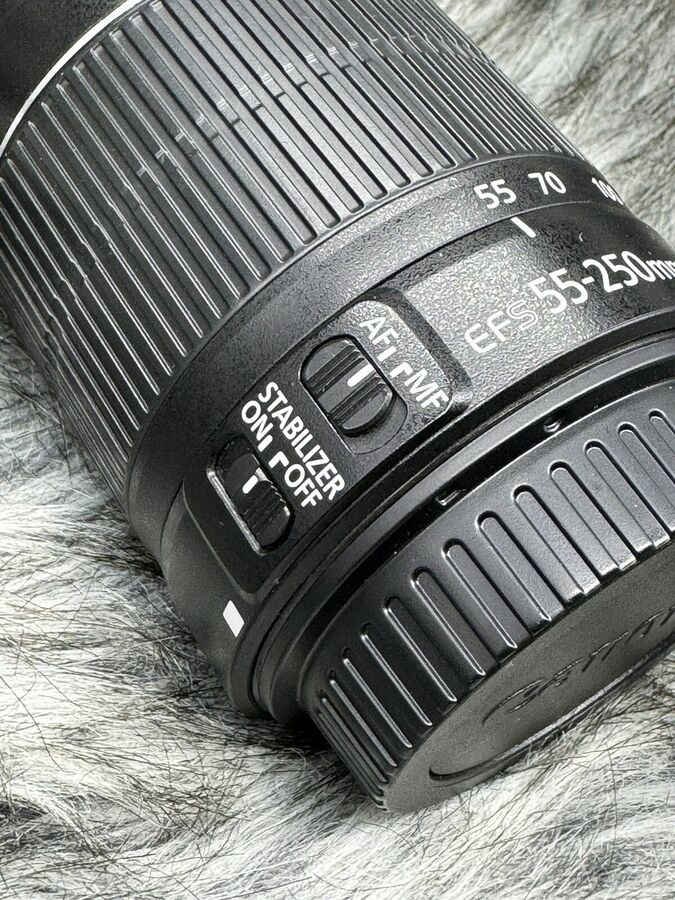 Canon EOS 77D 24.2 MP Digital Slr Camera with EF-S 18-55mm + ef-s 55-250mm Lenses