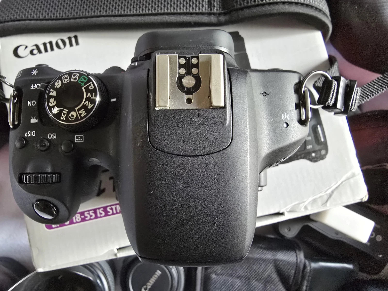 Canon Eos Rebel T7I Camera Lot Of Lenses, Canon flash, Battery Grip And More